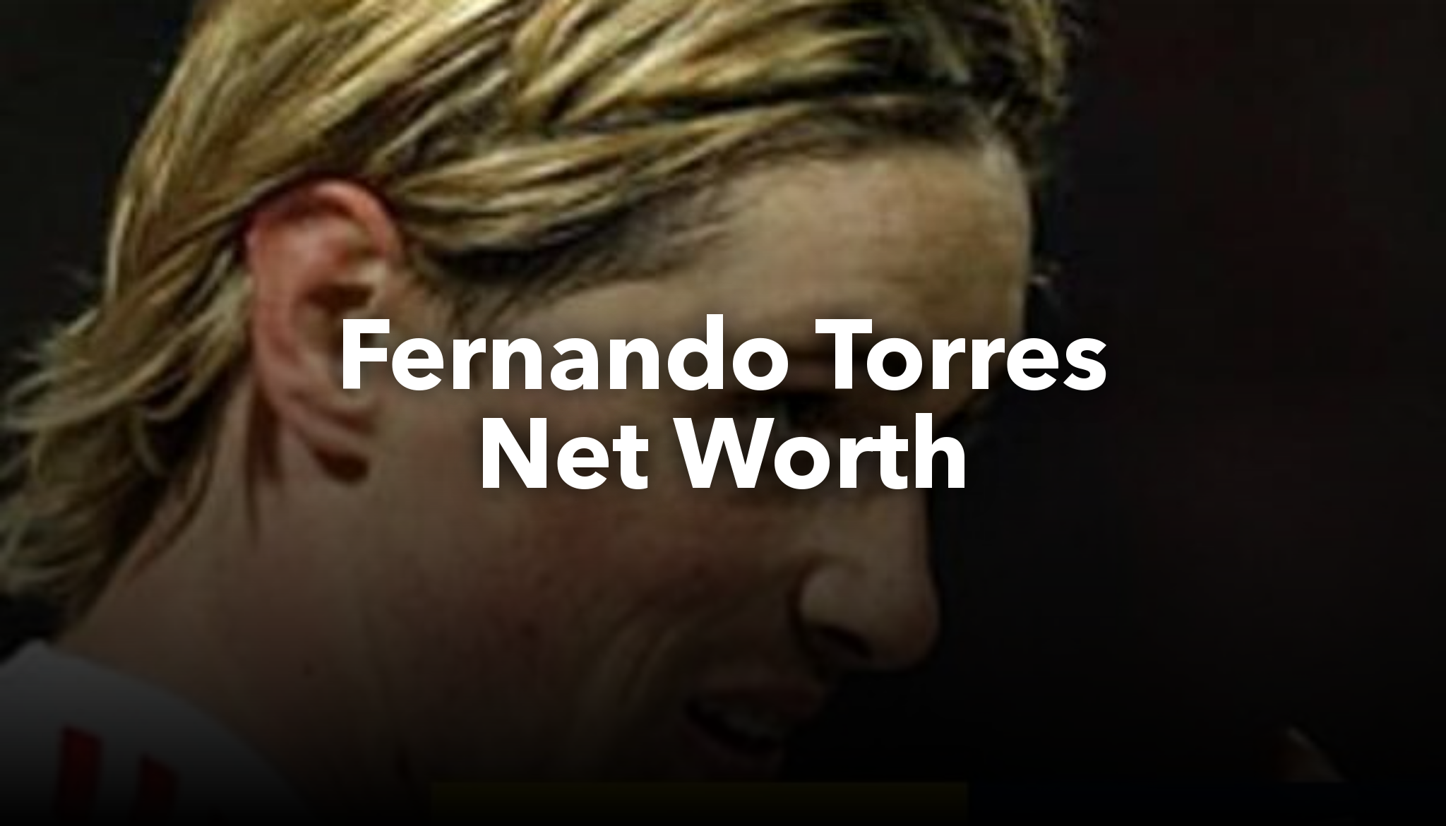 Fernando Torres Net Worth | nichesss